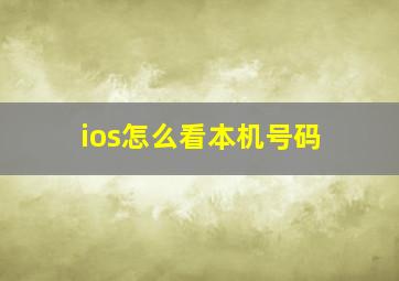 ios怎么看本机号码