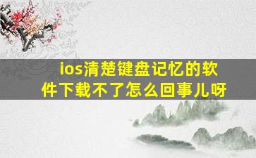 ios清楚键盘记忆的软件下载不了怎么回事儿呀