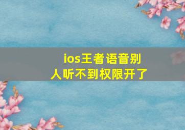 ios王者语音别人听不到权限开了