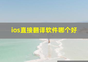 ios直接翻译软件哪个好