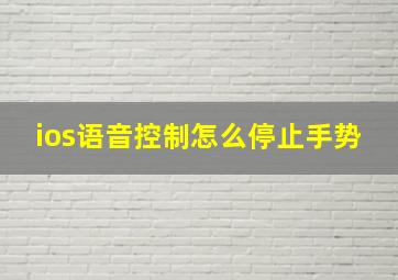 ios语音控制怎么停止手势