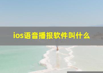 ios语音播报软件叫什么