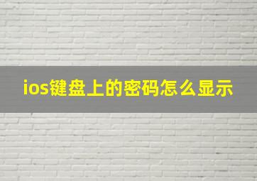 ios键盘上的密码怎么显示