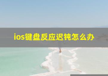 ios键盘反应迟钝怎么办