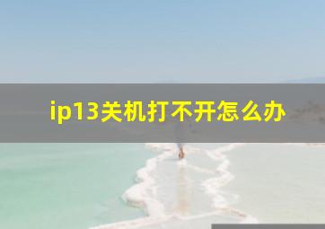 ip13关机打不开怎么办