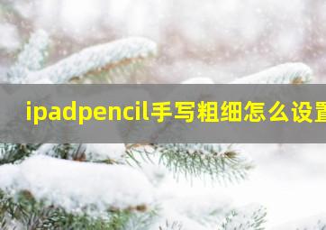 ipadpencil手写粗细怎么设置