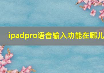 ipadpro语音输入功能在哪儿