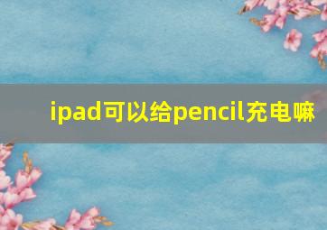 ipad可以给pencil充电嘛