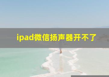 ipad微信扬声器开不了