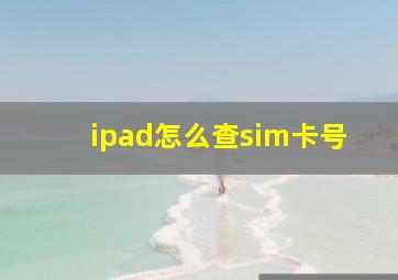 ipad怎么查sim卡号