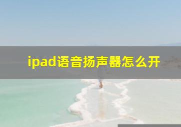 ipad语音扬声器怎么开