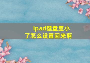 ipad键盘变小了怎么设置回来啊