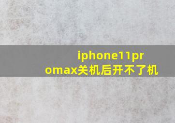 iphone11promax关机后开不了机