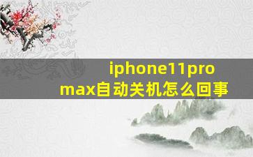 iphone11promax自动关机怎么回事