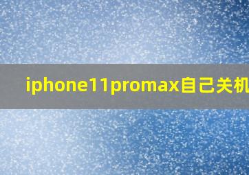 iphone11promax自己关机重启