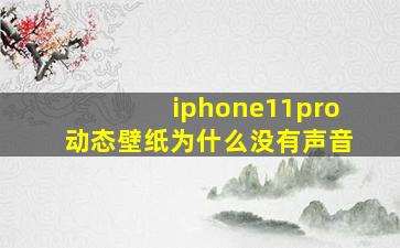 iphone11pro动态壁纸为什么没有声音