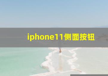 iphone11侧面按钮