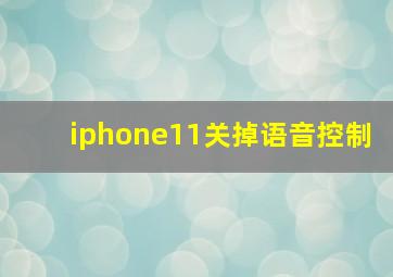 iphone11关掉语音控制