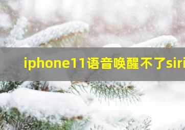 iphone11语音唤醒不了siri