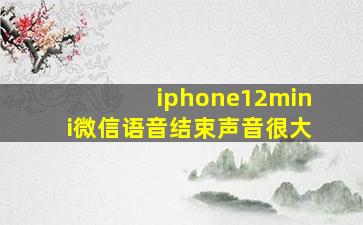 iphone12mini微信语音结束声音很大