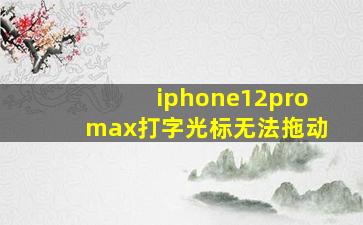 iphone12promax打字光标无法拖动