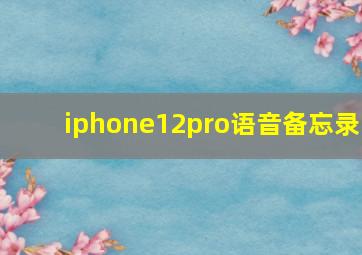 iphone12pro语音备忘录