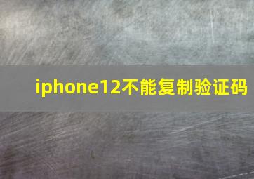 iphone12不能复制验证码