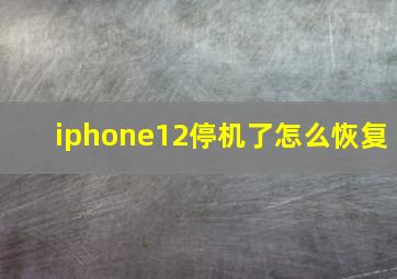 iphone12停机了怎么恢复