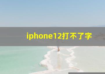 iphone12打不了字