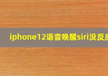 iphone12语音唤醒siri没反应