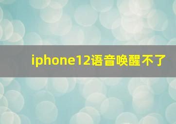 iphone12语音唤醒不了