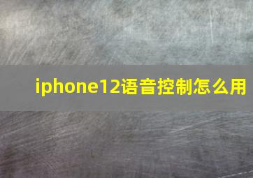 iphone12语音控制怎么用