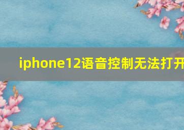 iphone12语音控制无法打开