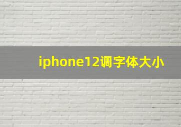 iphone12调字体大小