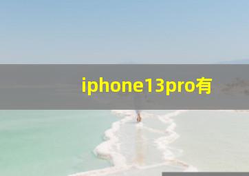 iphone13pro有