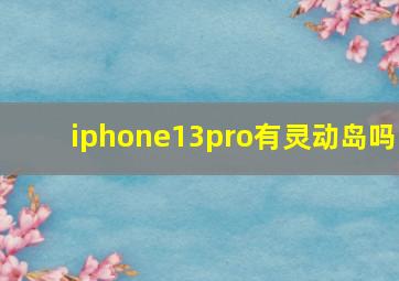 iphone13pro有灵动岛吗