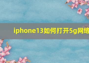 iphone13如何打开5g网络