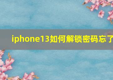 iphone13如何解锁密码忘了