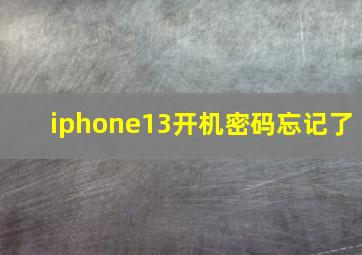 iphone13开机密码忘记了