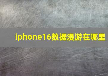 iphone16数据漫游在哪里