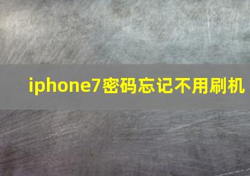 iphone7密码忘记不用刷机