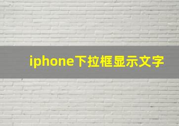 iphone下拉框显示文字