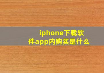 iphone下载软件app内购买是什么