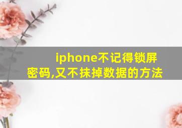 iphone不记得锁屏密码,又不抹掉数据的方法