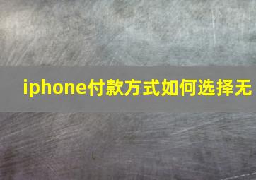 iphone付款方式如何选择无