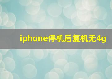 iphone停机后复机无4g