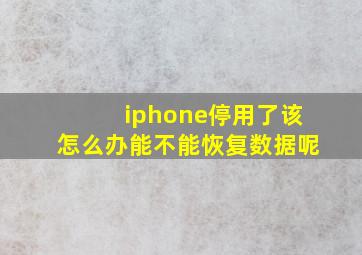 iphone停用了该怎么办能不能恢复数据呢