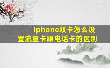 iphone双卡怎么设置流量卡跟电话卡的区别