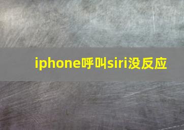 iphone呼叫siri没反应