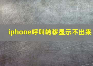 iphone呼叫转移显示不出来